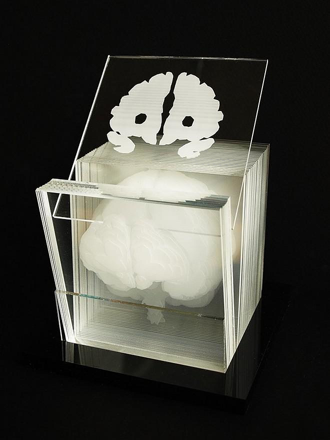 Human brain acrylic sculpture by Northup.
