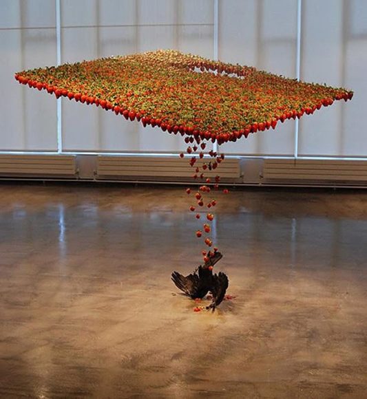 Floating Sculptures by Claire Morgan.