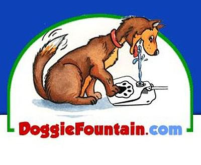Doggy Water Fountain, Water Dispenser for Dogs.