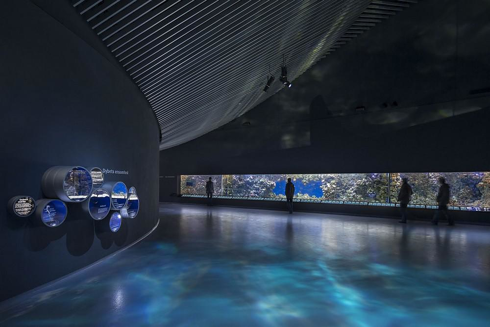 The Blue Planet Aquarium: Α vortex to an underwater world.