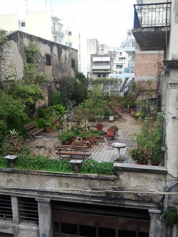 A Secret Roof Garden on Top of an Abandoned Building in Patras, Greece.