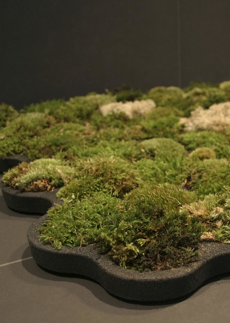 Living Moss Bath Mat by Nguyen La Chanh.