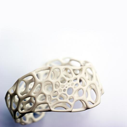 Design Jewelry by Nervous System.