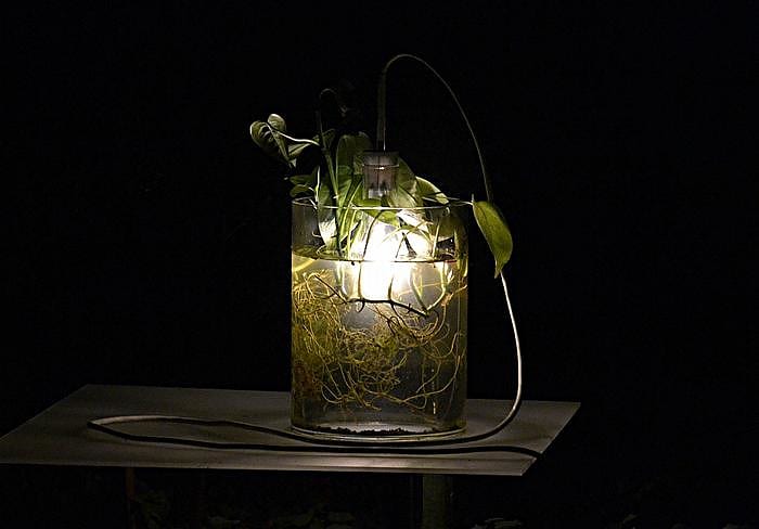 Vase & Leuchte από την Miriam Aust.