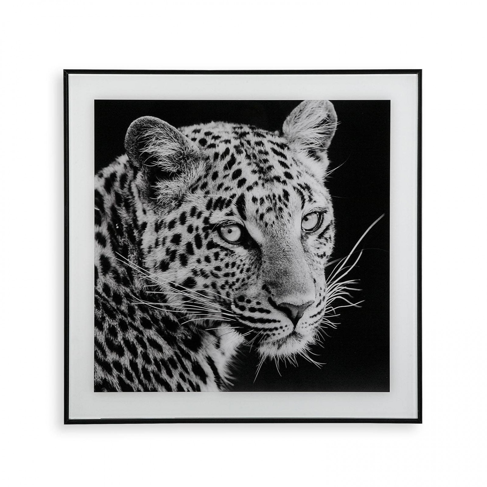 Διακοσμητικό Κάδρο Leopard 50 x 50 εκ. (Λευκό /  Μαύρο) - Versa