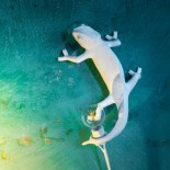 Φωτιστικό Τοίχου Chameleon Going Up Λευκό Seletti