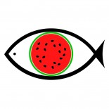 Μαξιλάρι σε Σχήμα Ψαριού (Καρπούζι) - A Future Perfect