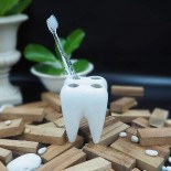 Θήκη / Βάση για Οδοντόβουρτσες WHITE TOOTH