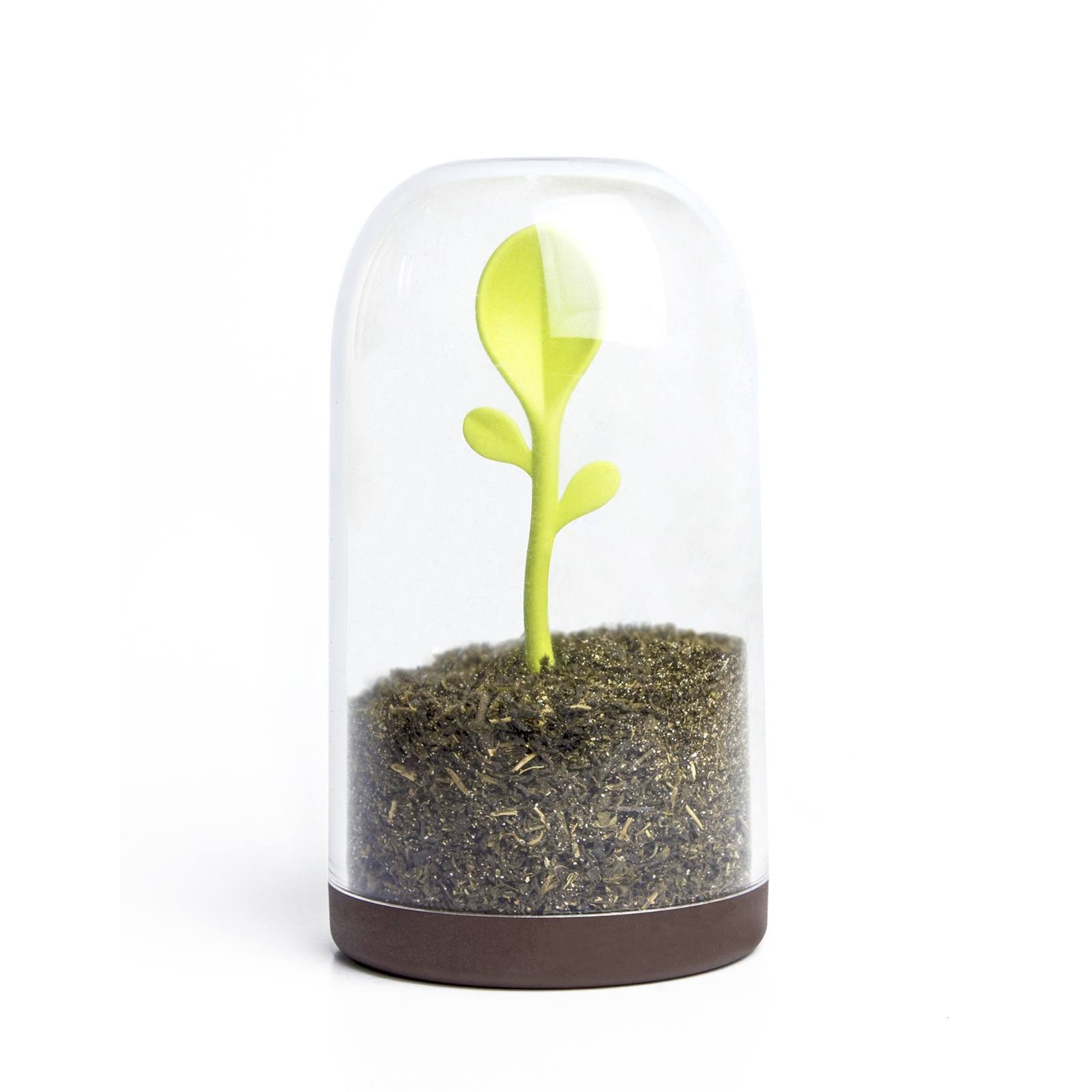 Sprout Jar (Container & Spoon) - Qualy