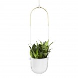 Bolo Hanging Planter (White) - Umbra