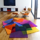 After Matisse Rug - Sonya Winner Studio