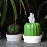 Cactiss Napkin / Toilet Paper Holder & Plant Pot (Green / White) - Qualy