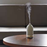 Casa Aroma Genie Ultrasonic Essential Oil Diffuser (White) - Toast Living
