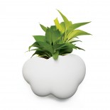 Cloud Pot (Plant Pot / Container) - Qualy