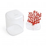 Coral Container (Clear-Red) - Qualy