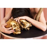 Wunderkammer Human Skull Culture Skulture - Seletti