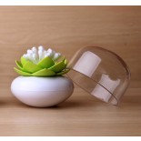 Lotus Cotton Bud / Toothpick Holder (White / Green) - Qualy