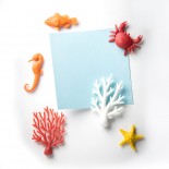 Ocean Ecology Magnets (Set of 6) - Qualy