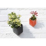 Off the Wall Pot Large (Black) - Thelermont Hupton