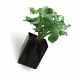 Off the Wall Pot Small (Black) - Thelermont Hupton