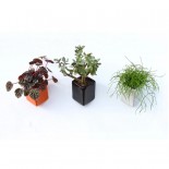 Off the Wall Pot Small (Black) - Thelermont Hupton