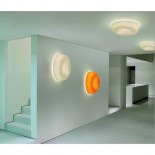 Ola Slim Wall & Ceiling Fixed Lamp - Karboxx