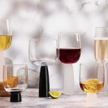Oslo Wine Glasses Set of 2 (Frost) - Anton Studio Designs