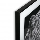 Leopard Framed Wall Art 50 x 50 cm (Glass) - Versa