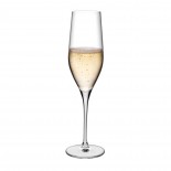Vinifera Champagne Glasses 245 ml (Set of 6) - Nude Glass