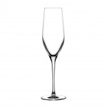 Vinifera Champagne Glasses 245 ml (Set of 6) - Nude Glass