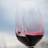 Wine Tasting Glasses Exploreur Oenology (Set of 4) - L' Atelier du Vin