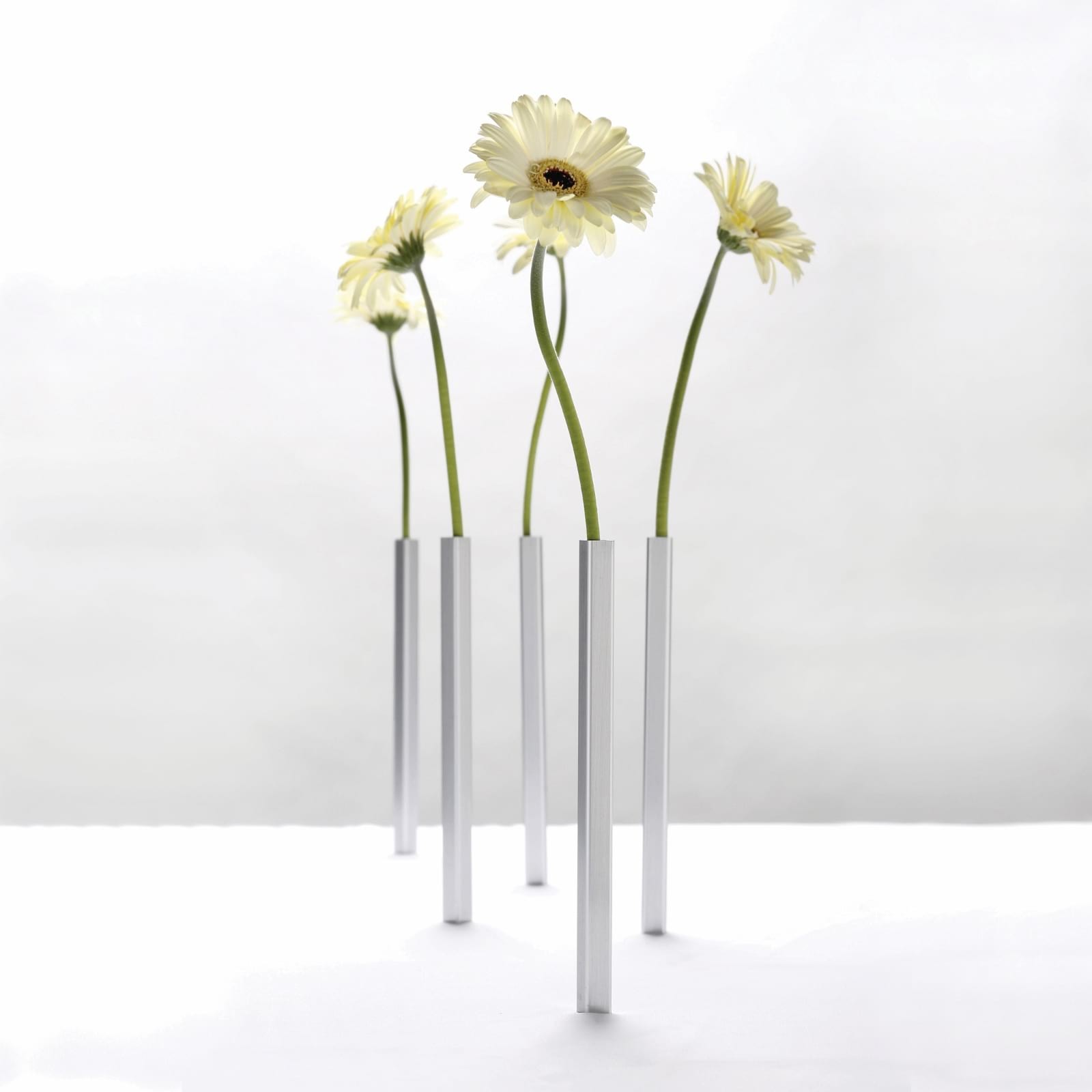 5 Magnetic Flower Vases Peleg Design DCI Centerpiece Lot Modern Home Decor 